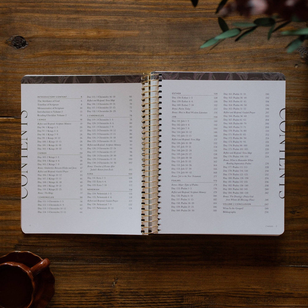 A Year in the Bible | 365 Days of Discovering the Beauty of Jesus from ...