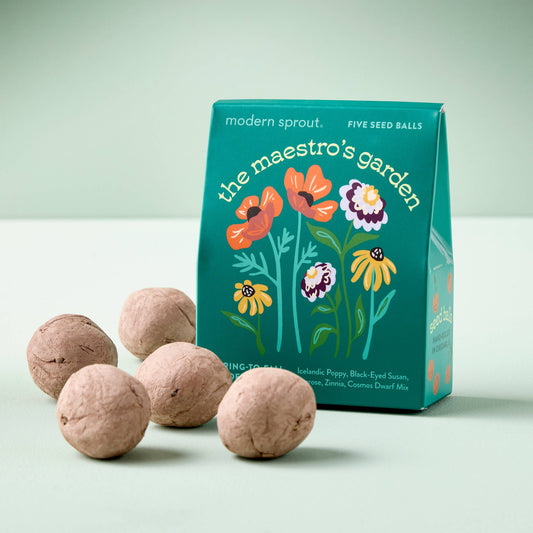 Flower Seed Balls